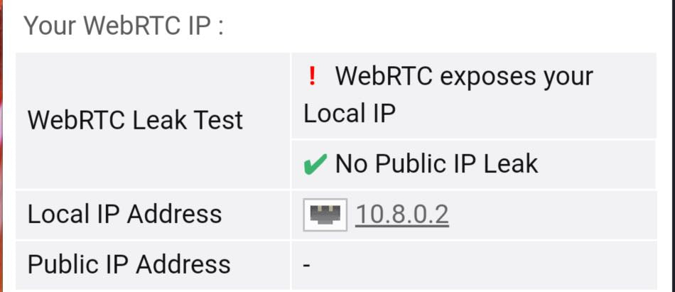WebRTC leak test showing a local IP while no public IP leak is detected